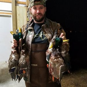 Meet your Posher, Aaron